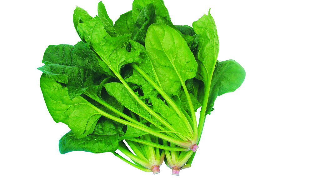 DNTS-P012 菠菜農(nóng)殘掃描 27項(xiàng)