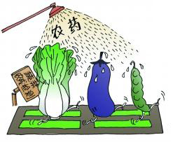 DNTS-P016 食品中氨基甲酸酯類(lèi)農(nóng)藥殘留 18項(xiàng)