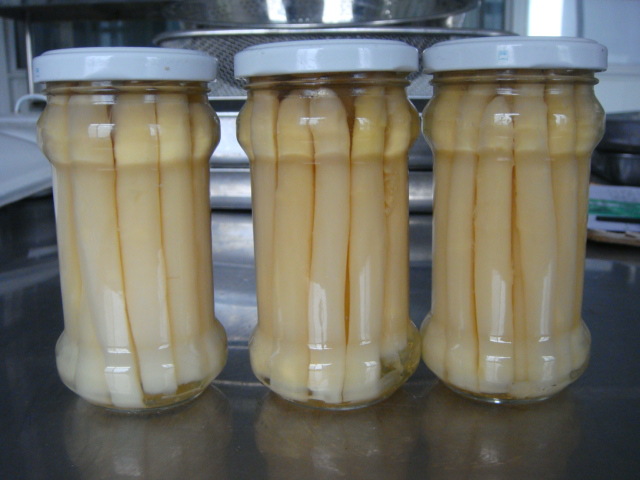 蘆筍罐頭 GB/T 13208-2008