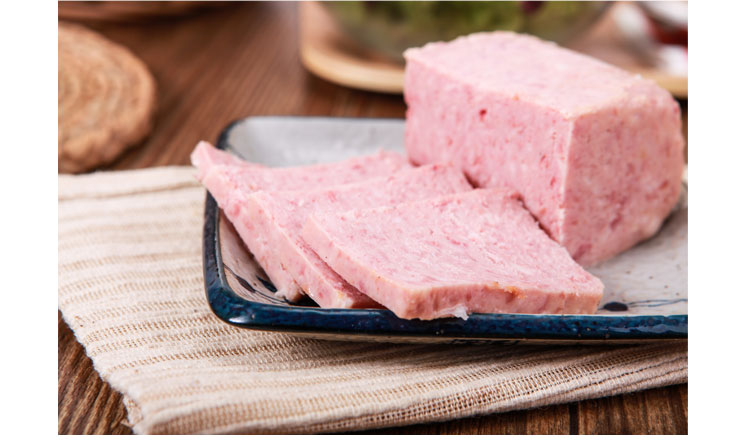 肉類罐頭衛(wèi)生標(biāo)準(zhǔn)  GB 13100-2005