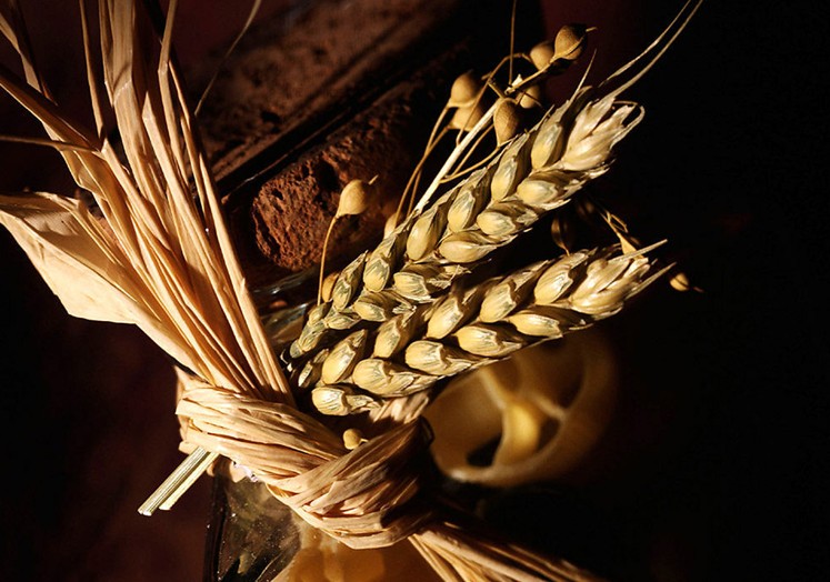 綠色食品 麥類制品 NY/T 1510-2007