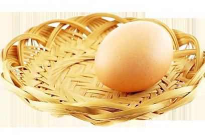 綠色食品 蛋及蛋制品 NY/T 754-2011