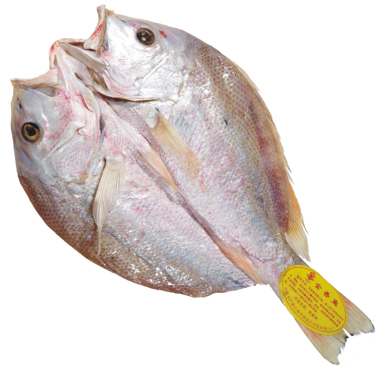 鹽漬魚衛(wèi)生標(biāo)準(zhǔn) GB 10138-2005