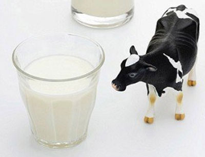 食品安全國家標(biāo)準(zhǔn) 生乳 GB 19301-2010