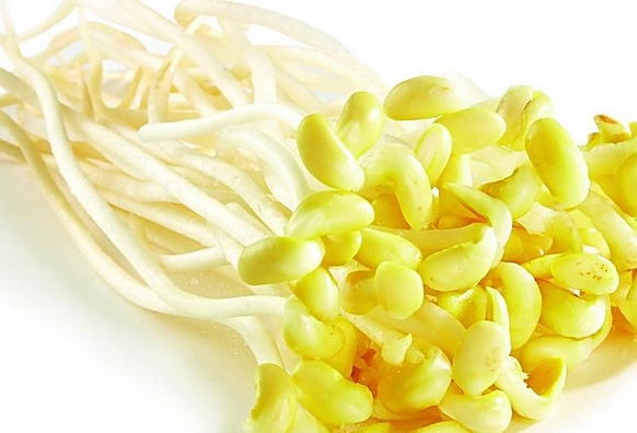 豆芽衛(wèi)生標(biāo)準(zhǔn) GB 22556-2008