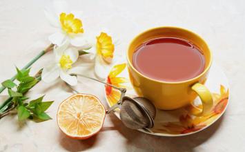 綠色食品 代用茶 NY/T 2140-2015