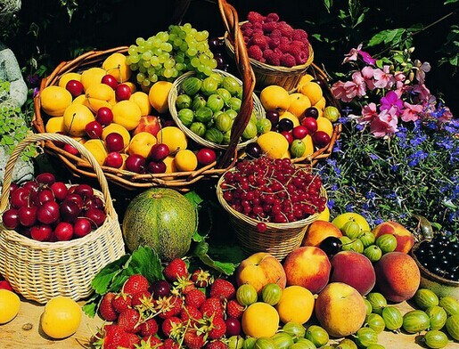 美國更新果蔬等進(jìn)口法規(guī)