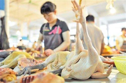 有市場雞肉價格下滑30%！你那里的如何？